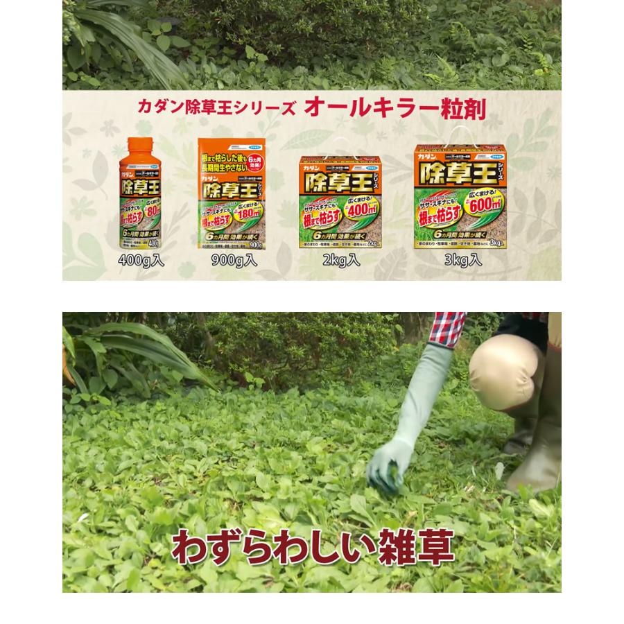 除草王 カダン除草王 オールキラー 粒剤 4kg 散布器セット : 買援隊