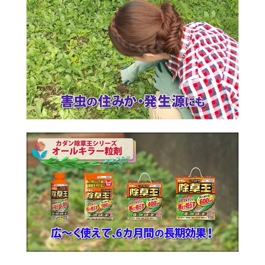 除草王 カダン除草王 オールキラー 粒剤 4kg 散布器セット : 買援隊