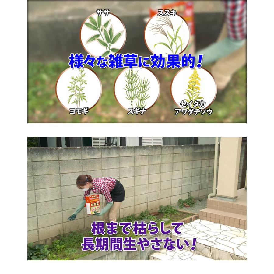 除草王 カダン除草王 オールキラー 粒剤 4kg 散布器セット : 買援隊
