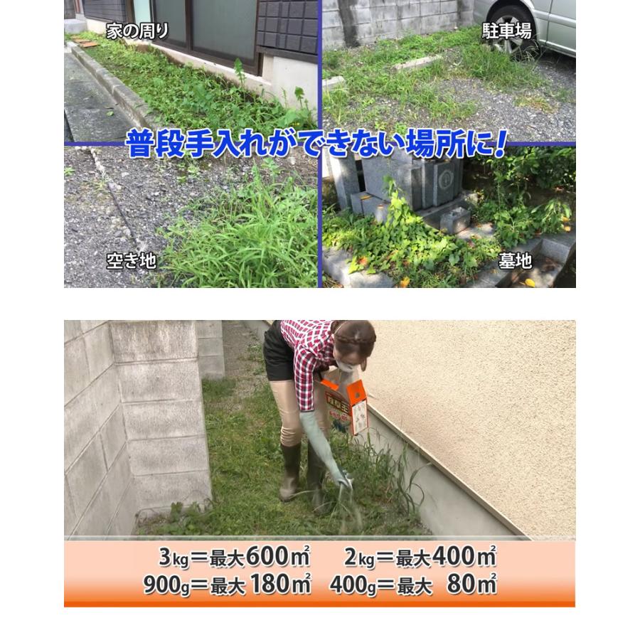 専用出品 futatu3koraa様 4kg 除草王 カダン除草王 オールキラー 粒剤 4kg 散布器セット : 買援隊