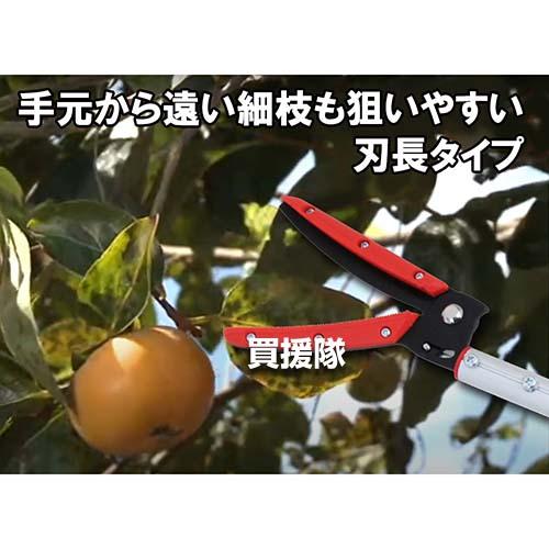 E-Value 刃長伸縮式高枝切鋏 EGLP-3_4