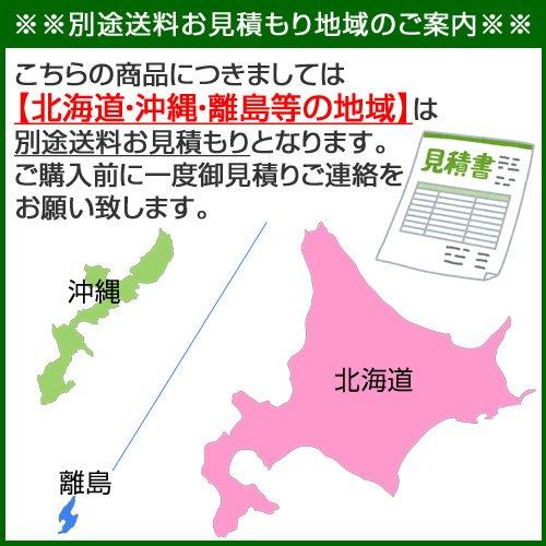 （P5倍）（22日限定）（法人限定）昭和ブリッジ アルミブリッジ GP-S型 0.8t/2本セット 300幅 セーフベロ GP-285-30-08SKの画像