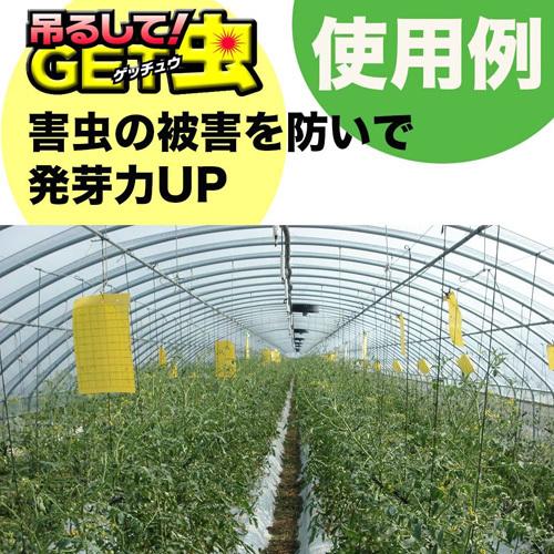 むしとりセット　1枚　30円 虫取りシート 黄色 吊るしてGET虫ミニ 10枚入り : 買援隊ヤフー