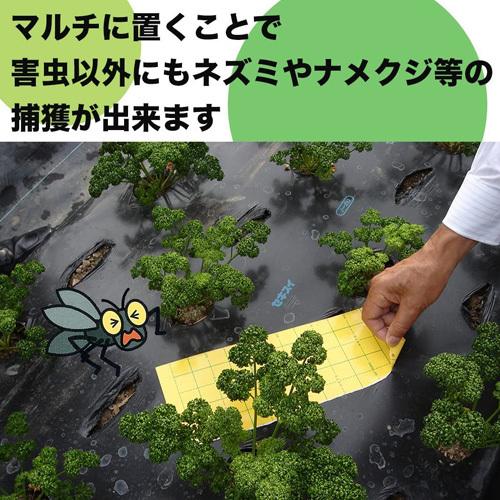 むしとりセット　1枚　30円 新アウトドア用虫退治セット | かとり,蚊取り,せんこう,線香