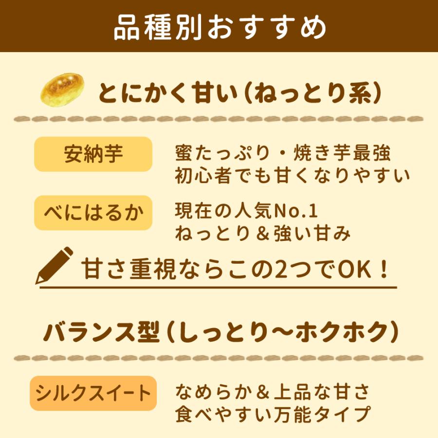 5月4日発送アズマ100はるか100シルク100安納芋100ムラサキ100 父の日