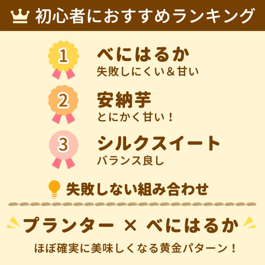 P5倍）（クーポン5枚で合計7000円OFF）さつまいも苗 選べる6品種 100本