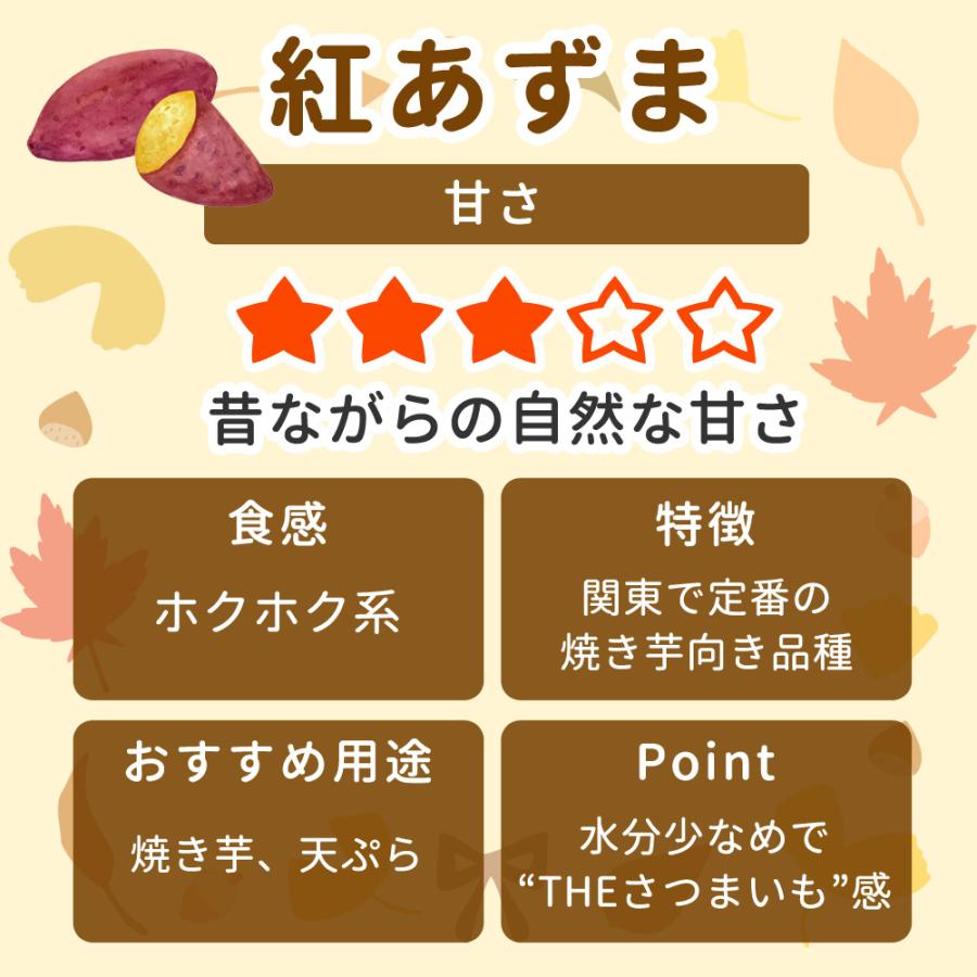紫芋苗30本あずま30はるか100 P5倍）（クーポン5枚で合計7000円OFF）さつまいも苗 選べる6品種 100本