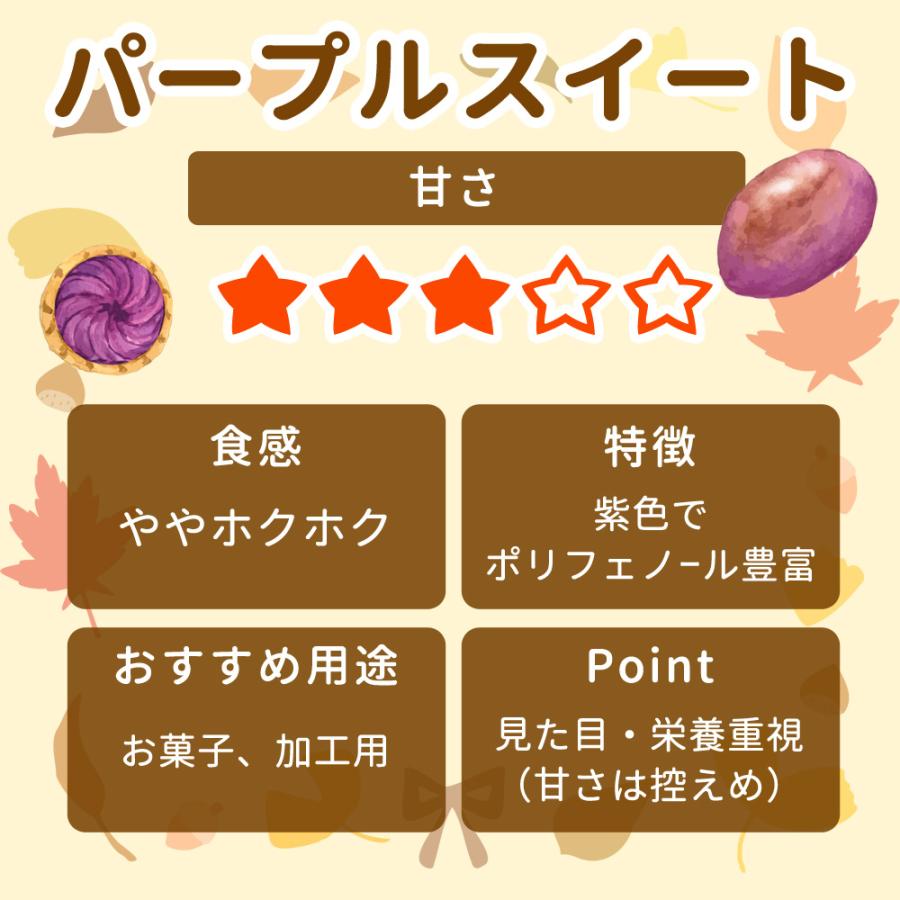 紫芋苗30本あずま30はるか100 P5倍）（クーポン5枚で合計7000円OFF）さつまいも苗 選べる6品種 100本