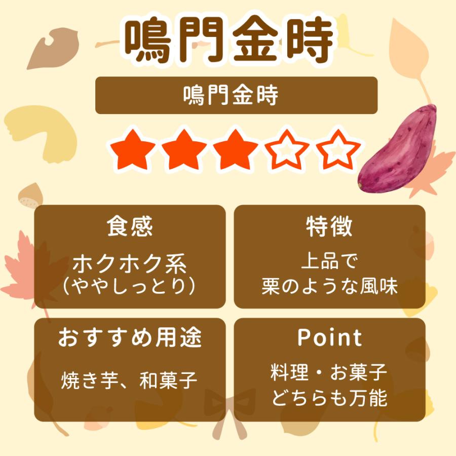 苗 ホクホク食感金時芋苗200本セール