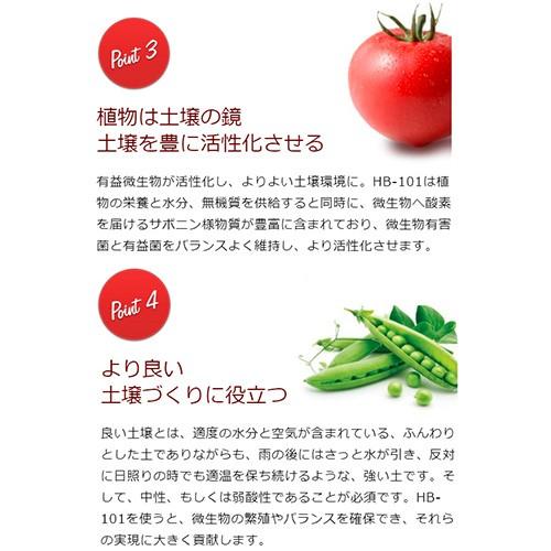 天然植物活力液 HB-101 300cc|truetools|06