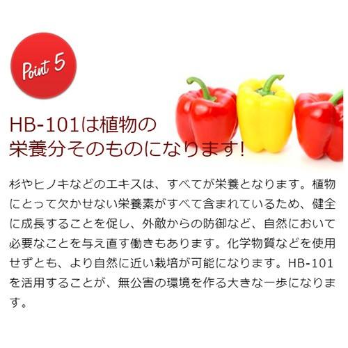 天然植物活力液 HB-101 300cc|truetools|07