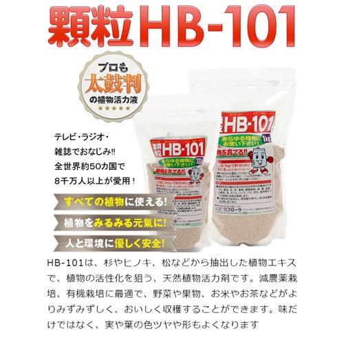 顆粒 HB-101 活力剤 1kg｜truetools｜03