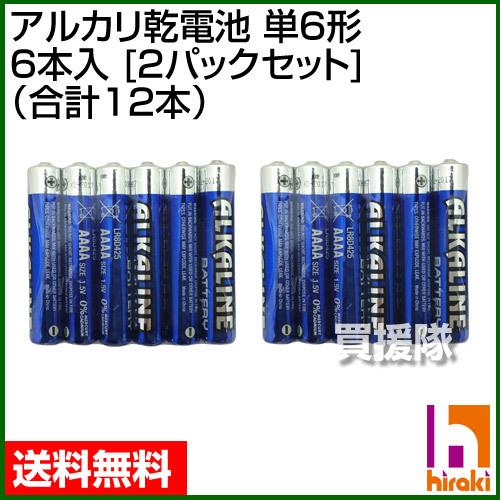 アルカリ乾電池 単6電池 6本入 2パックセット 合計12本 ヒラキ｜truetools｜02