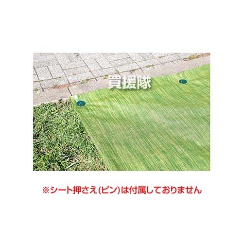 ポイント5倍）イノベックス 防草シート 1m×30m ツイストガード : 買援