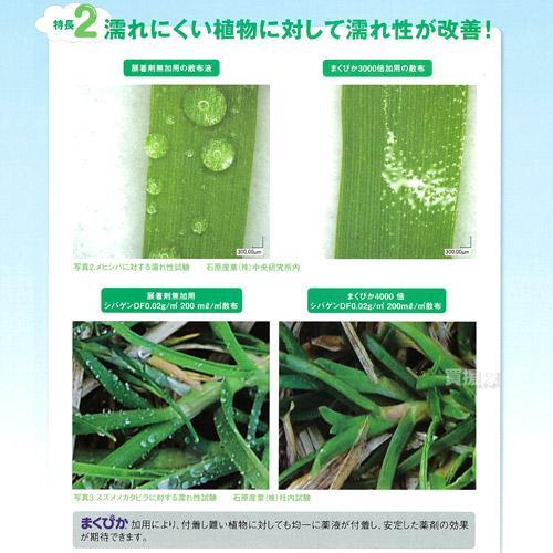 （P5倍）（22日限定）石原バイオ 展着剤 まくぴか 100ml×10本の画像