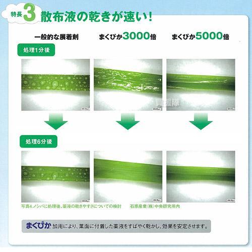 （P5倍）（22日限定）石原バイオ 展着剤 まくぴか 100ml×10本の画像