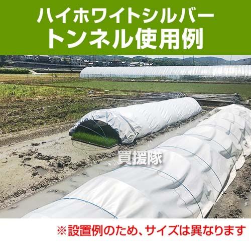 （法人限定）岩谷マテリアル 育苗用 ハイホワイトシルバー 厚0.05mm×幅270cm×50m 3本セット｜truetools｜03