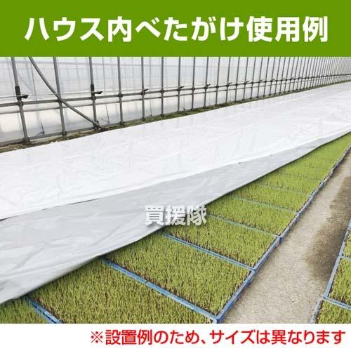 （法人限定）岩谷マテリアル 育苗用 ハイホワイトシルバー 厚0.05mm×幅360cm×50m 2本セット｜truetools｜02