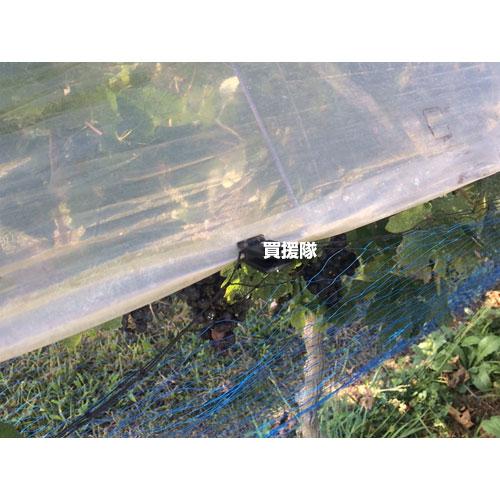 コトコ株式会社 プッシュクリップ 屋外用 3mm 200個入 K-2042 : 買援隊