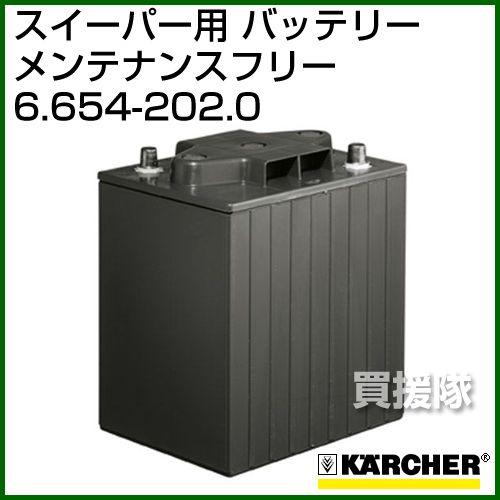 ケルヒャー バッテリー 6.654-202.0