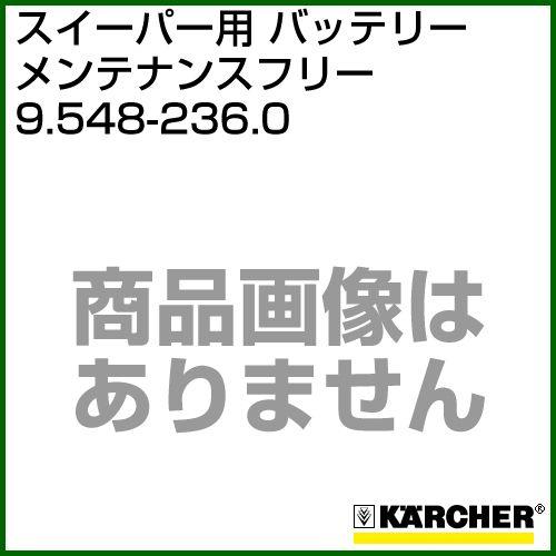 ケルヒャー バッテリー 9.548-236.0