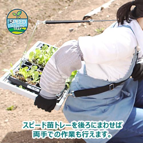KSFARM スピード苗トレー : 買援隊ヤフー店 - 通販 - Yahoo!ショッピング