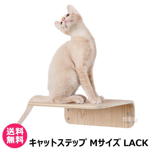 P5倍）（クーポンで1000円OFF）（19日まで）MYZOO キャットステップ M