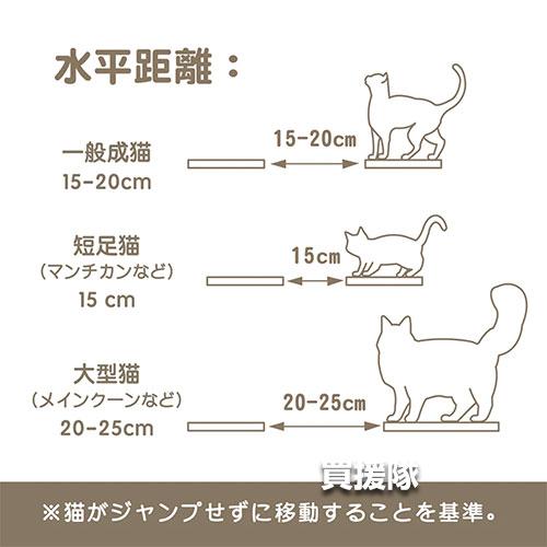 MYZOO キャットステップ 半円型 （2枚入） ROUND LACK |  | 06