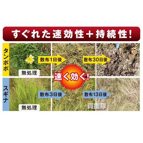 （P3倍）（クーポンで1000円OFF）日本農薬 除草剤 サンダーボルト007 2L×6本セット_3