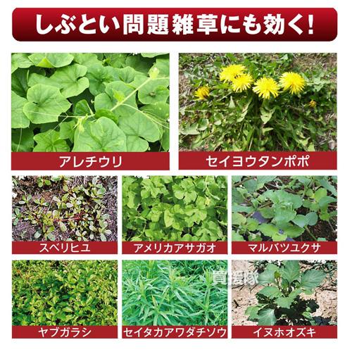 （P3倍）（クーポンで1000円OFF）日本農薬 除草剤 サンダーボルト007 2L×6本セット_4