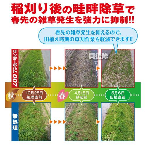 （P3倍）（クーポンで1000円OFF）日本農薬 除草剤 サンダーボルト007 2L×6本セット_7