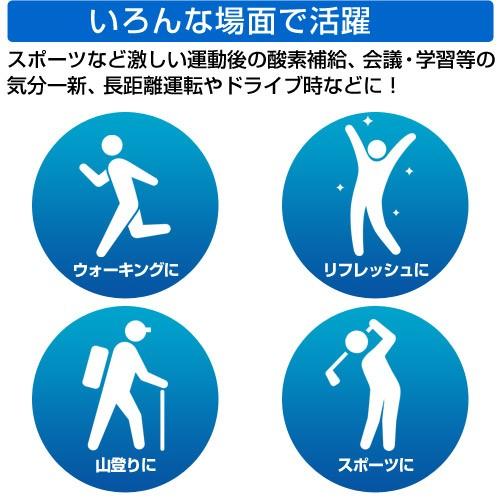 P5倍）（クーポンで1000円OFF）酸素ボンベ 携帯 5L 10本入 : 買援隊