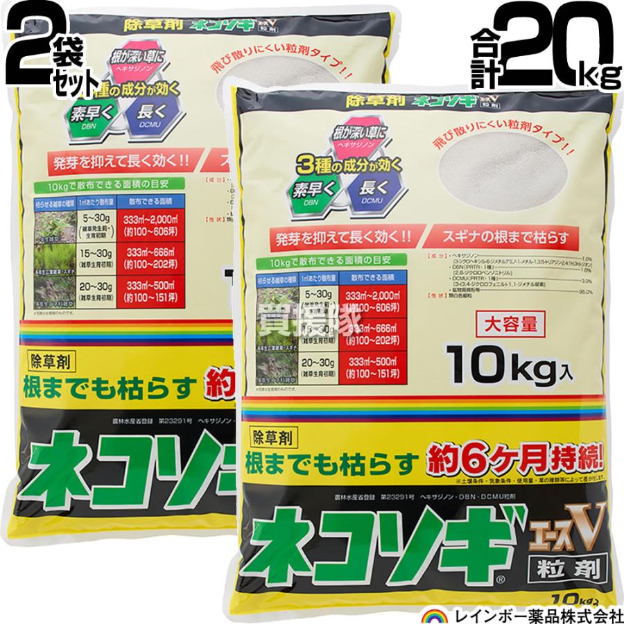 ネコソギ10キロ2袋