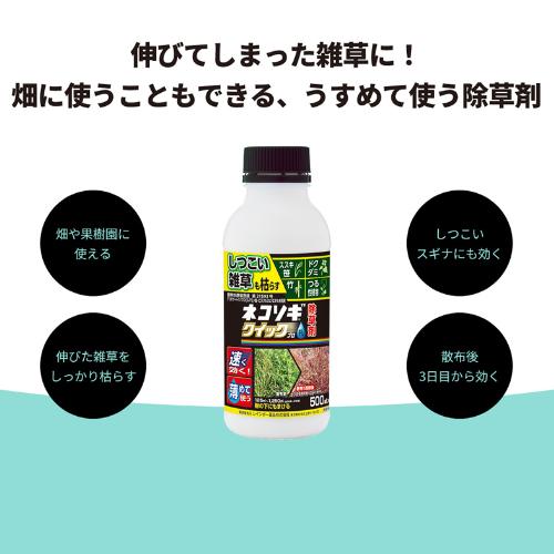 ネコソギ （P5倍）（クーポン5枚で合計7000円OFF）レインボー薬品