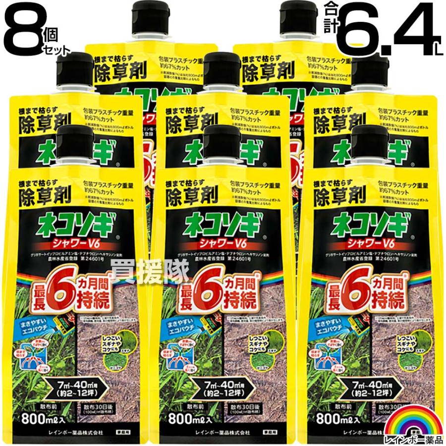 （P5倍）（クーポンで1500円OFF）レインボー薬品 ネコソギシャワーV6 エコパウチ 800ml×8個 | ネコソギ
