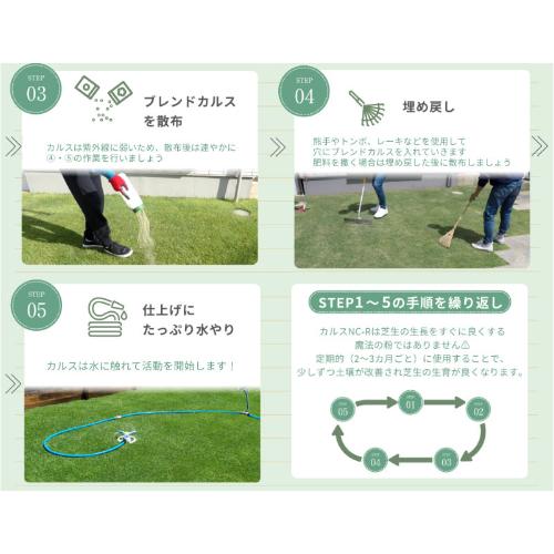 リサール酵産 土壌改良資材 カルスNC-R 1kg 20袋 粉状 合計20kg