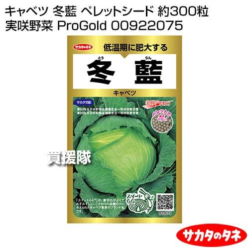 クーポンで最大1000円OFF）サカタのタネ キャベツ 冬藍 ペレットシード