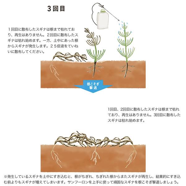 サンフーロン 除草剤 10l ラウンドアップのジェネリック農薬 除草 希釈 グリホサート系 Sanf 買援隊ヤフー店 通販 Yahoo ショッピング