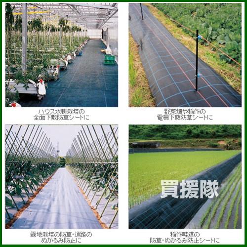 （P5倍）（22日限定）（法人限定）日本ワイドクロス 防草アグリシート シルバーグレー サイズ:1.5×100m SG1515 カラー:シルバーグレーの画像