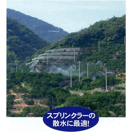 工進（KOSHIN） （P7倍）（クーポン4枚で合計6000円OFF）工進 単体