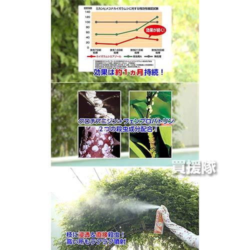 （ポイント5倍）住友化学園芸 カイガラムシエアゾール 480ml×24本_2