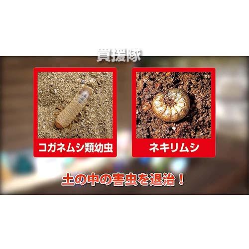 （ポイント5倍）住友化学園芸 ダイアジノン粒剤3 家庭園芸用 700g×20個_3