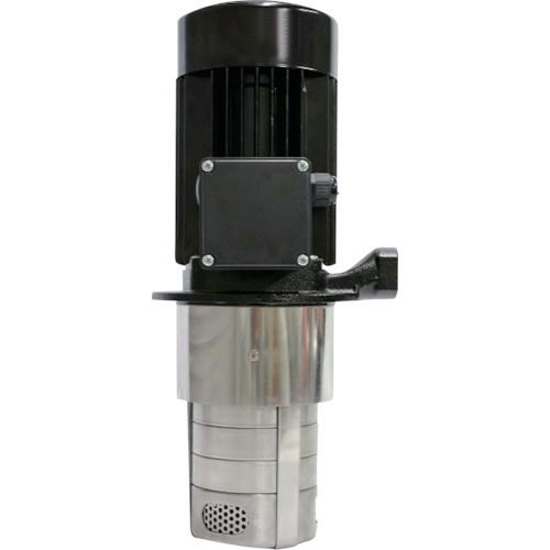 テラル 多段浸漬型クーラントポンプLBK 口径20mm LBK2-110/5-E 期間限定 ポイント10倍