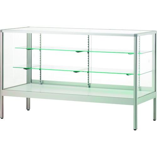 ハヤノ フォルティッシュ 平ケース シルバー プッシュ錠付 R12450S-P 期間限定 ポイント10倍