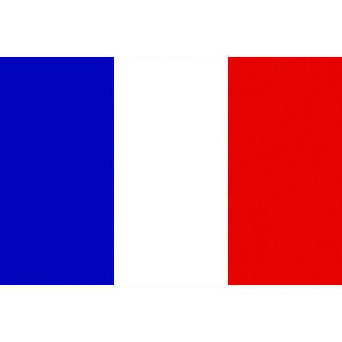 東京製旗 国旗No.2 90×135cm フランス 426647 期間限定 ポイント10倍