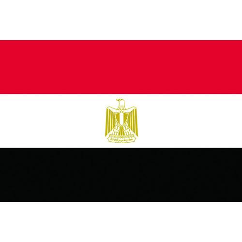 東京製旗 国旗No.2 90×135cm エジプト・アラブ 426163 期間限定 ポイント10倍