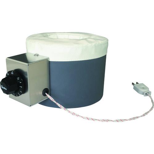 おおたけ マイカヒーター 温調付 1000W 2段階 ホワイト MC-F1000