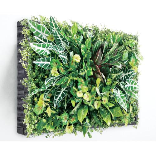 アウトレットサイト 藤沢工業 株 リレヤ アレンジグリーンパネル枠付 Dec 07 Dec 07 期間限定 ポイント10倍 売り出し大特価 Addmarkgroup Com