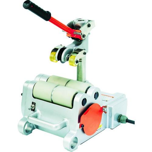 希少トムテ maileg社 広島アンデルセン 希少トムテ maileg社 広島アンデルセン