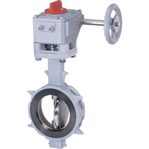巴 バタフライバルブ JIS10K/250A 304YA-2U SCS13A/SCS13A/R-PTFE ギア 